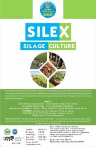 Silex Silage Culture