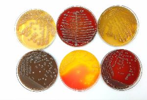 Microbiology Media
