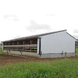 Poultry Shed
