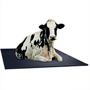 Cow Mats