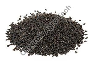 Basil Seeds