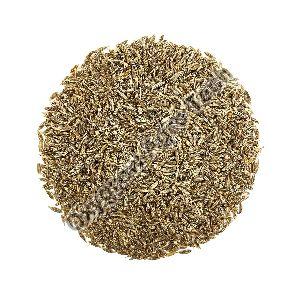 Cumin Seeds