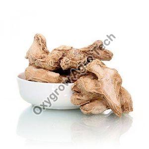 Dried Ginger