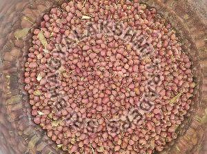 Red Cowpea Seeds