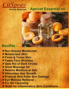 Apricot Oil