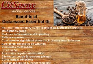 Cedarwood Essential Oil