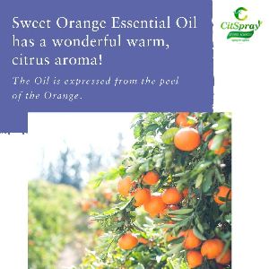 Orange Essential Oil