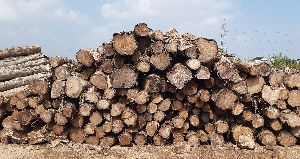 Ghana Teak Wood Round Logs 143 Pcs