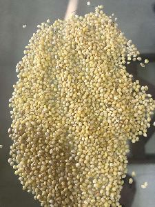 Organic Foxtail Millet Seeds