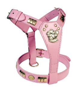 Leather Dog Harness