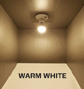 Warm White LED Bulb
