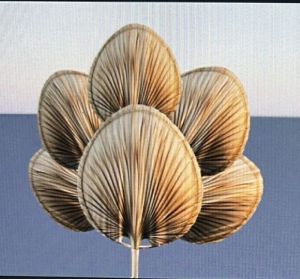 Dry palm leaf arrangement