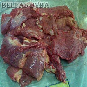 Halal Frozen Buffalo Forequarter