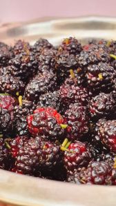 Frozen Mulberry whole