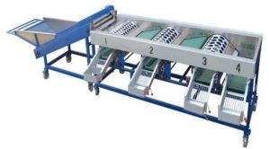 Drum Type Onion Grading Machine