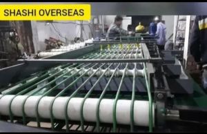 Rope Type Stone Fruit Grading Machine