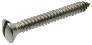 Stainless Steel Slotted Raised CSK Head Screw