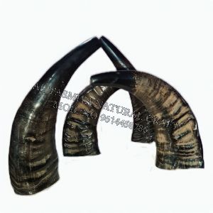 Buffalo Horn Flute