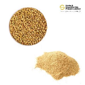 Fenugreek Powder