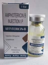 Amphotericin B Injection