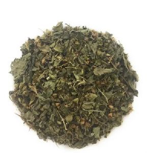 Tulsi Leaves Powder