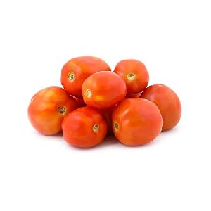 Fresh Tomato