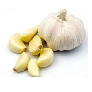 Fresh Garlic