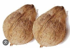 Semi Husked Coconuts