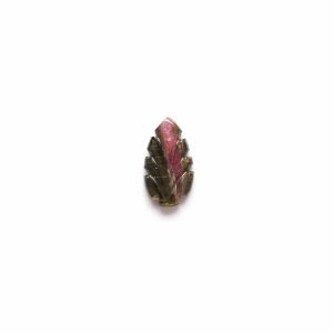 Watermelon Tourmaline Leaf