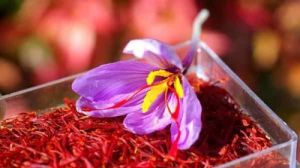 Pure Kashmiri Saffron