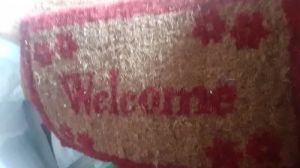 Entrance Door Mat