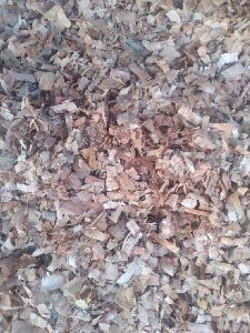 Wood Shavings