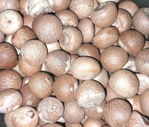 White Areca Nuts