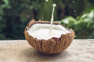 Coconut Milk