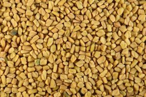 Fenugreek Seeds