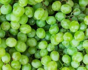 Fresh Green Grapes