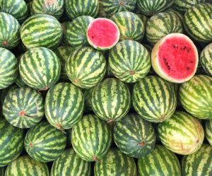 Fresh Watermelon