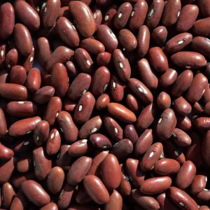 KIDNEY BEAN