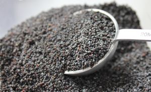 Poppy Seeds