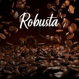 Robusta Coffee Beans