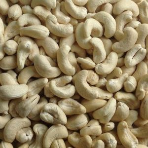 Scorched Wholes 240 Cashew nuts