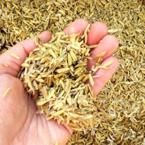 Natural Rice Husk