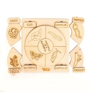 coloring activity nesta toys life cycle puzzles