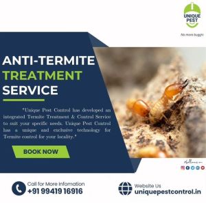 Anti Termite Treatment