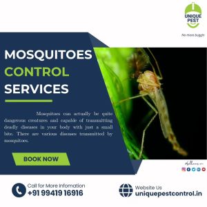 Mosquito Control Services