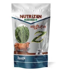 Hybrid Nutrizen Nutrifeed Seeds