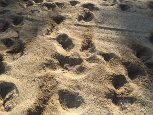River Sand Store Bangalore Online near ME - Whitefield Bangalore