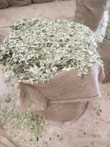 Senna Leaves