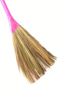 Long Handle Grass Broom