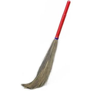 Plastic Long Handle Grass Broom